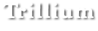 Trillium Leadership Consulting Trillium Leadership Consulting